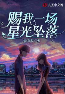 赐我一场星光坠落
